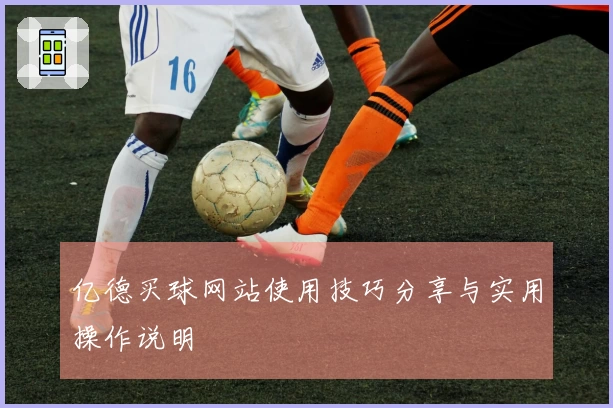亿德买球网站使用技巧分享与实用操作说明