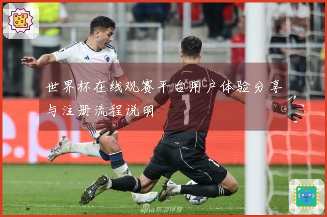 世界杯在线观赛平台用户体验分享与注册流程说明