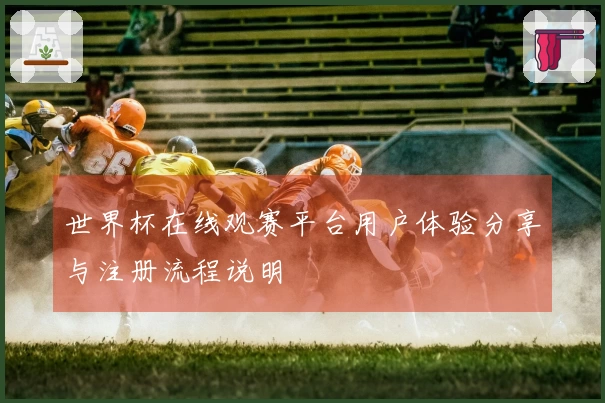 世界杯在线观赛平台用户体验分享与注册流程说明